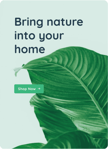 bestsellBanner
